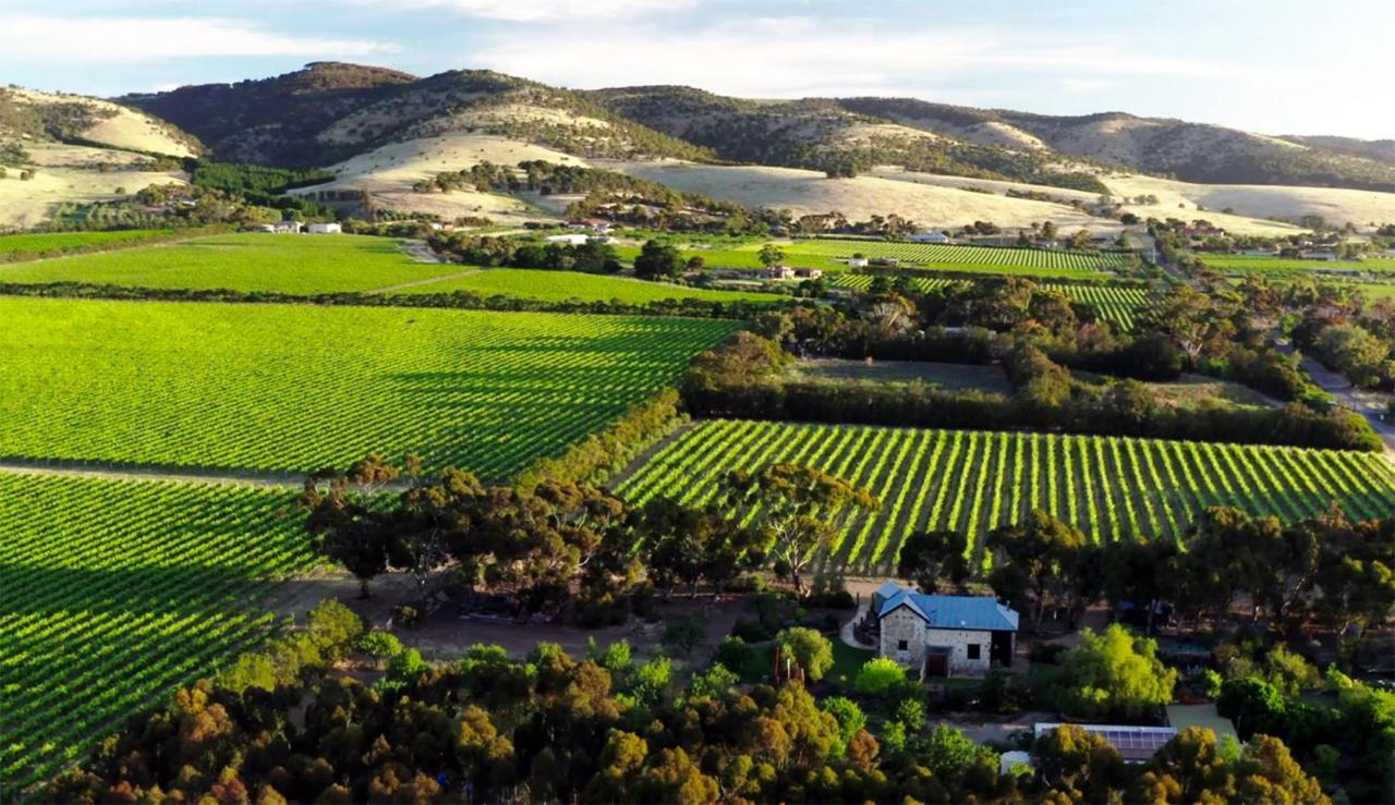 The Old Chaff Mill Organic Vineyard Retreat Bed and Breakfast Sellicks Hill Εξωτερικό φωτογραφία